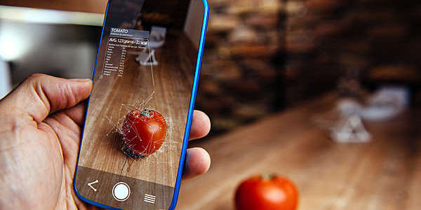 Hand holding a smartphone displaying augmented-reality image of a tomato.