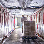 Worker loading products into freezer truck of food factory.
